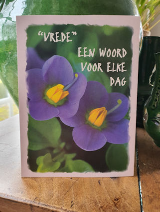 Klik voor groter beeld