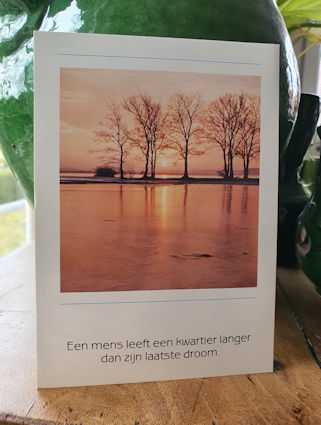 Klik voor groter beeld